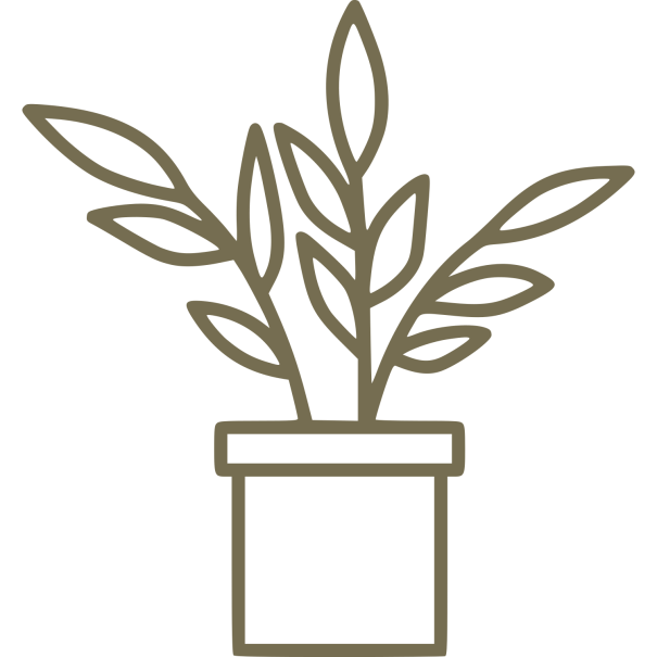 van décoration